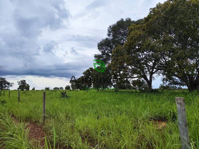 #1152 - Fazenda para Venda em Porangatu - GO