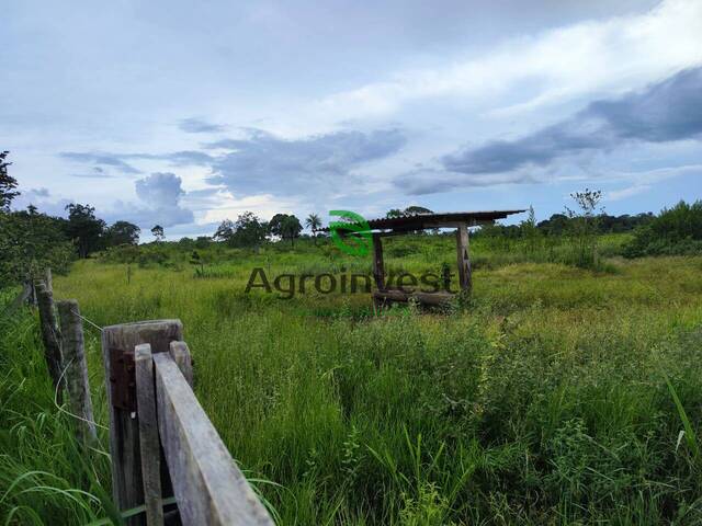 Fazenda para Venda em Porangatu - 5