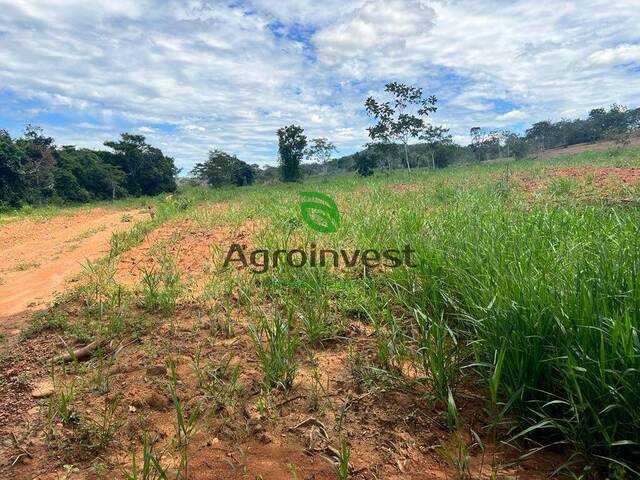 Chácara para Venda em Santa Cruz de Goiás - 4