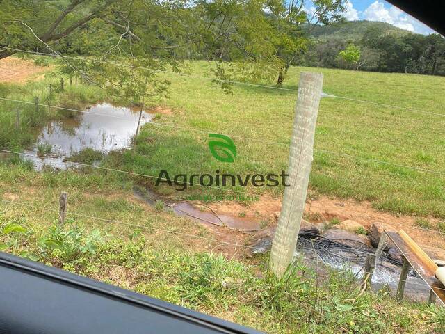 Chácara para Venda em Santa Cruz de Goiás - 5