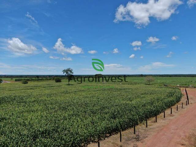 #1157 - Fazenda para Venda em Nova Crixás - GO - 3