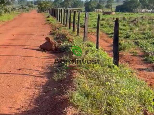 #1165 - Fazenda para Venda em Cocalinho - MT