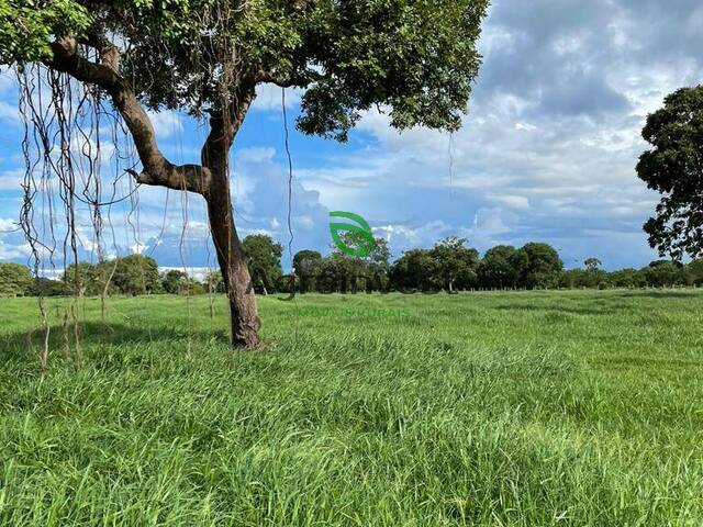 #1165 - Fazenda para Venda em Cocalinho - MT