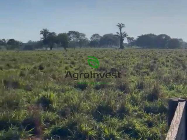 #1165 - Fazenda para Venda em Cocalinho - MT