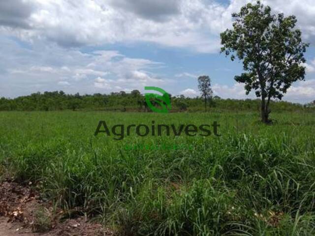 Fazenda para Venda em Novo Acordo - 5