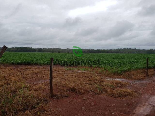 #1177 - Fazenda para Venda em Araguaçu - TO - 1