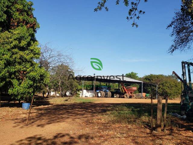 Fazenda para Venda em Araguaçu - 5