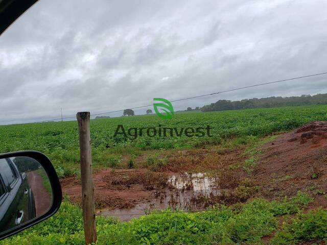 #1177 - Fazenda para Venda em Araguaçu - TO - 3