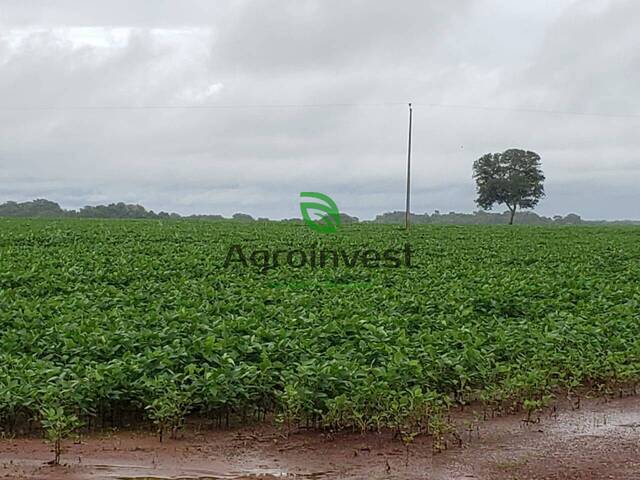 Fazenda para Venda em Araguaçu - 4