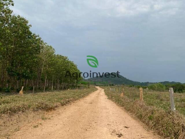 #1185 - Fazenda para Venda em Cumaru do Norte - PA - 3