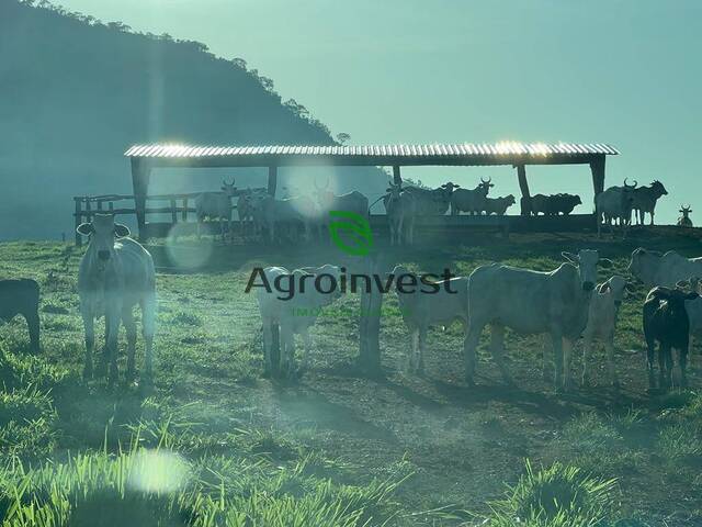 #1187 - Fazenda para Venda em São Valério da Natividade - TO - 2