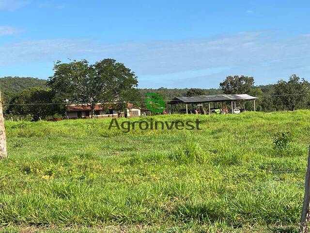 #1187 - Fazenda para Venda em São Valério da Natividade - TO - 3