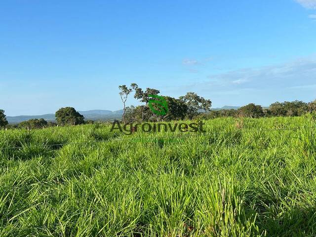 Fazenda para Venda em São Valério da Natividade - 5