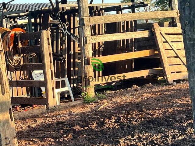 Fazenda para Venda em São Valério da Natividade - 4