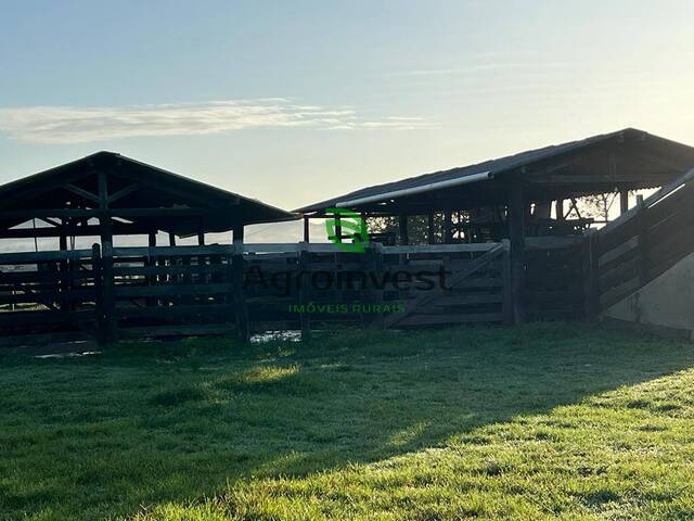 #1187 - Fazenda para Venda em São Valério da Natividade - TO - 1