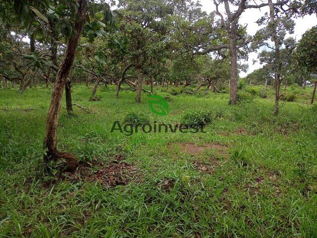 #1189 - Fazenda para Venda em Caldazinha - GO - 1