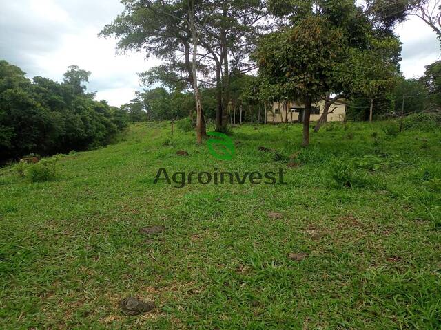 Fazenda para Venda em Caldazinha - 5