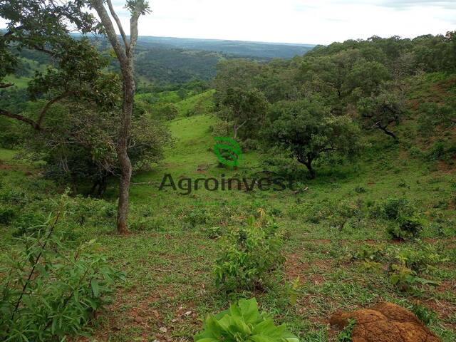 #1189 - Fazenda para Venda em Caldazinha - GO - 3