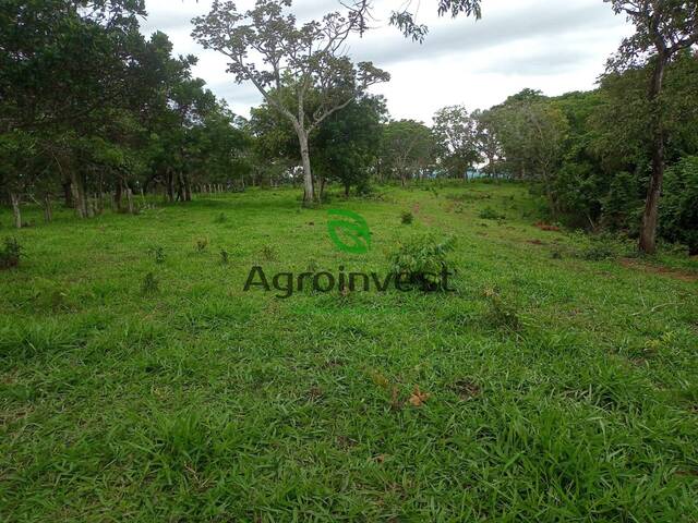 Fazenda para Venda em Caldazinha - 4