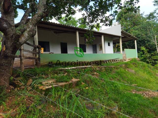 #1190 - Fazenda para Venda em Padre Bernardo - GO