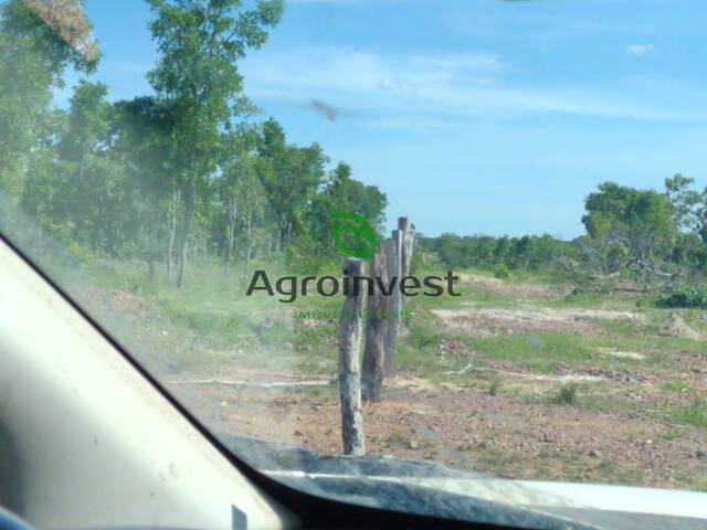 Fazenda para Venda em Paranã - 5