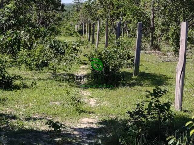 #1194 - Fazenda para Venda em Paranã - TO