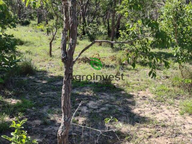 Fazenda para Venda em Paranã - 4