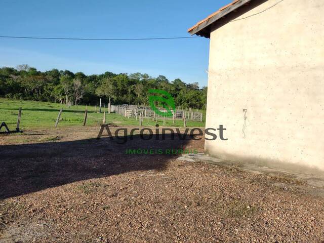 #1194 - Fazenda para Venda em Paranã - TO