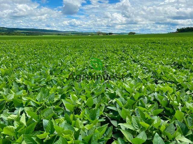 #1199 - Fazenda para Venda em Campinápolis - MT - 1