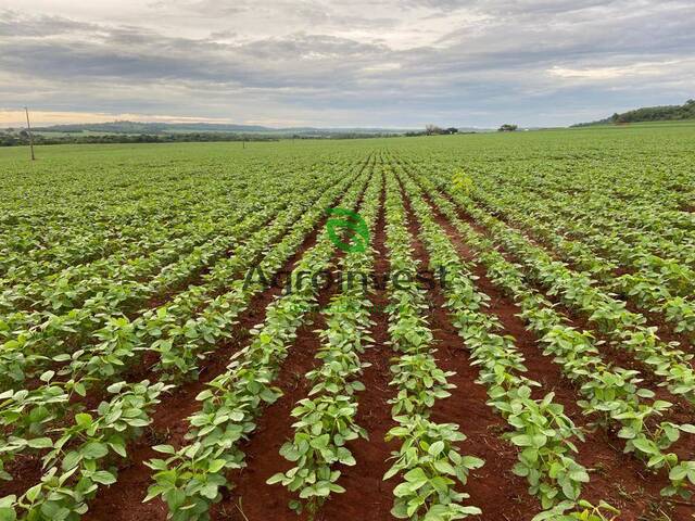 #1199 - Fazenda para Venda em Campinápolis - MT - 2