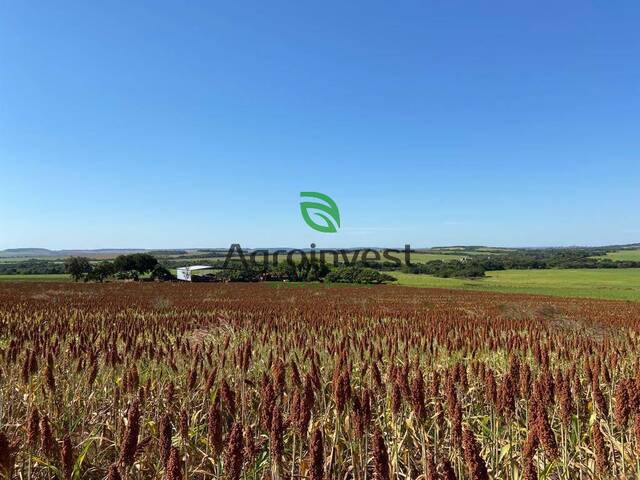 Fazenda para Venda em Campinápolis - 5