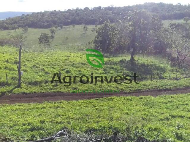 Fazenda para Venda em Niquelândia - 5