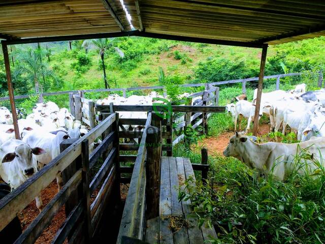 #1203 - Fazenda para Venda em Planaltina - DF - 1