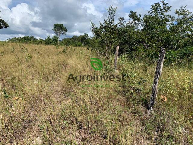 Fazenda para Venda em Paranã - 4