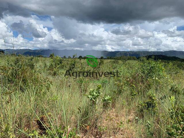 Fazenda para Venda em Paranã - 5