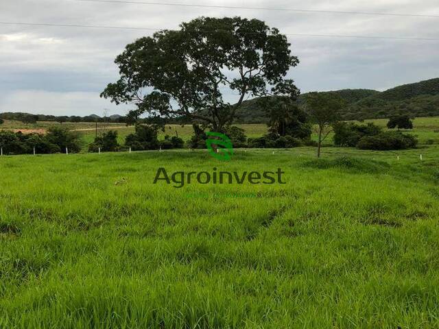 #1214 - Fazenda para Venda em Colinas do Sul - GO