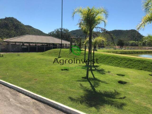 Fazenda para Venda em Colinas do Sul - 5