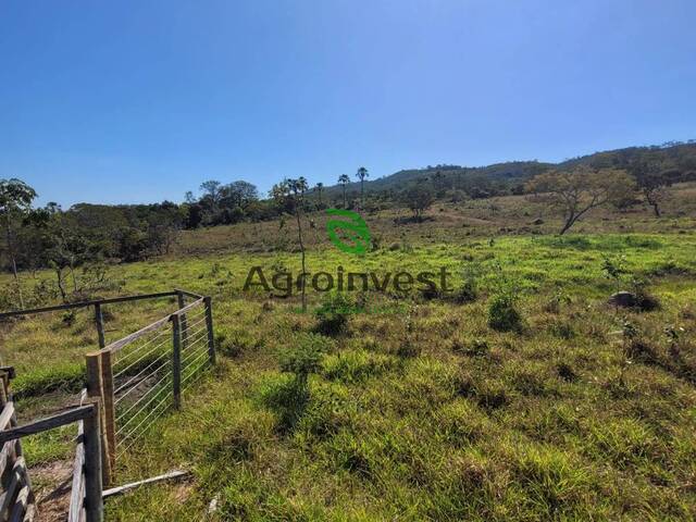 #1224 - Fazenda para Venda em Santa Cruz de Goiás - GO - 3