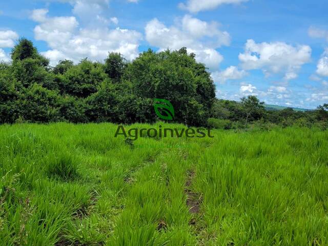 #1224 - Fazenda para Venda em Santa Cruz de Goiás - GO - 2