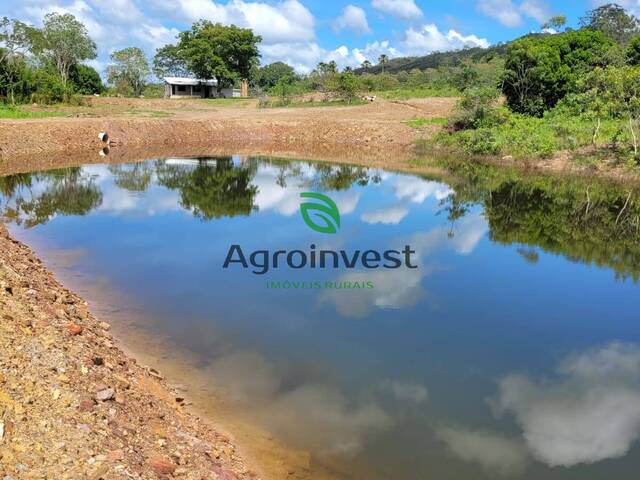 Venda em Zona Rural - Santa Cruz de Goiás