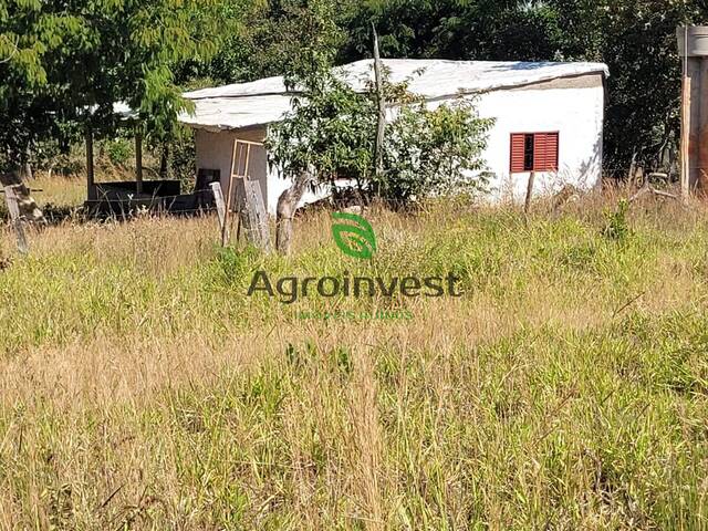 Fazenda para Venda em Santa Cruz de Goiás - 4