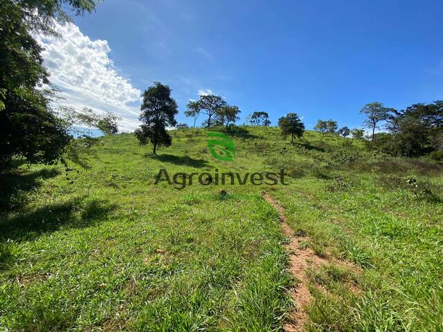 #1227 - Fazenda para Venda em Uruaçu - GO - 1