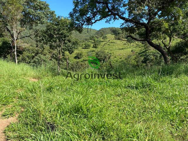 Fazenda para Venda em Uruaçu - 5