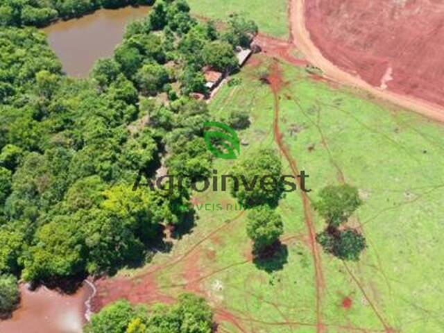 #1229 - Fazenda para Venda em Montes Claros de Goiás - GO - 1