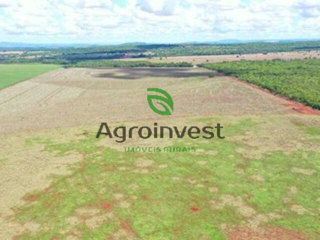 Fazenda para Venda em Montes Claros de Goiás - 4