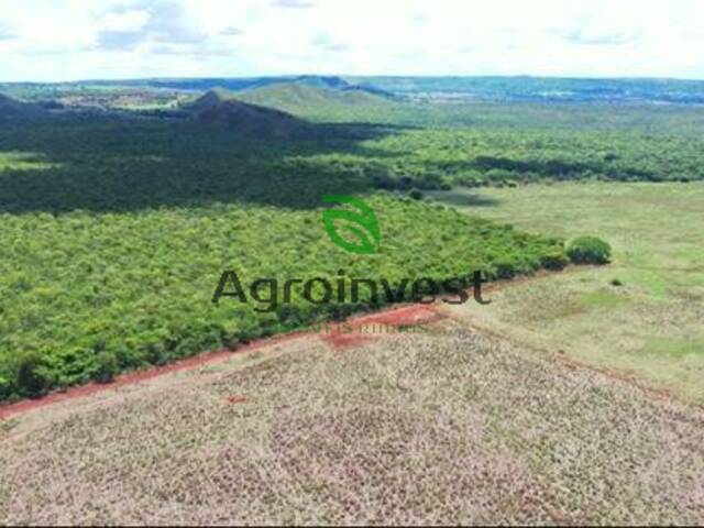 #1229 - Fazenda para Venda em Montes Claros de Goiás - GO - 3