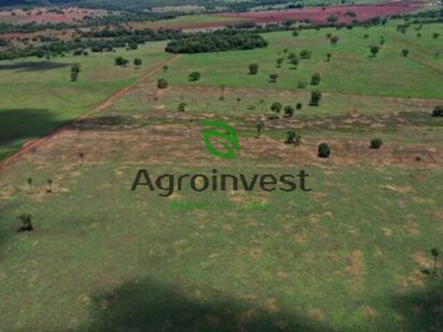 #1230 - Fazenda para Venda em Montes Claros de Goiás - GO - 3