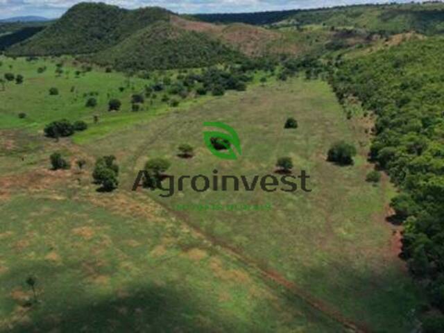 #1230 - Fazenda para Venda em Montes Claros de Goiás - GO - 1