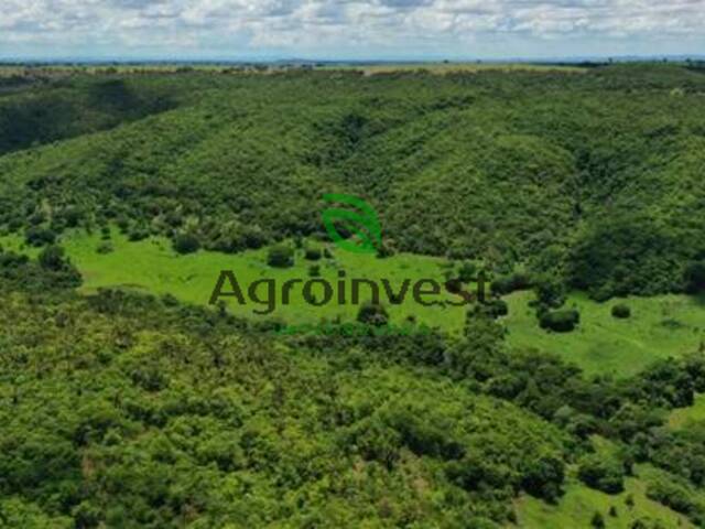 Fazenda para Venda em Montes Claros de Goiás - 4