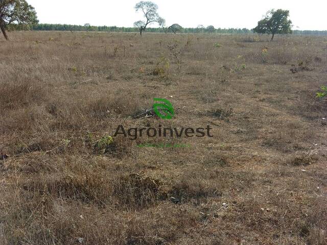 #1232 - Fazenda para Venda em Arinos - MG - 2